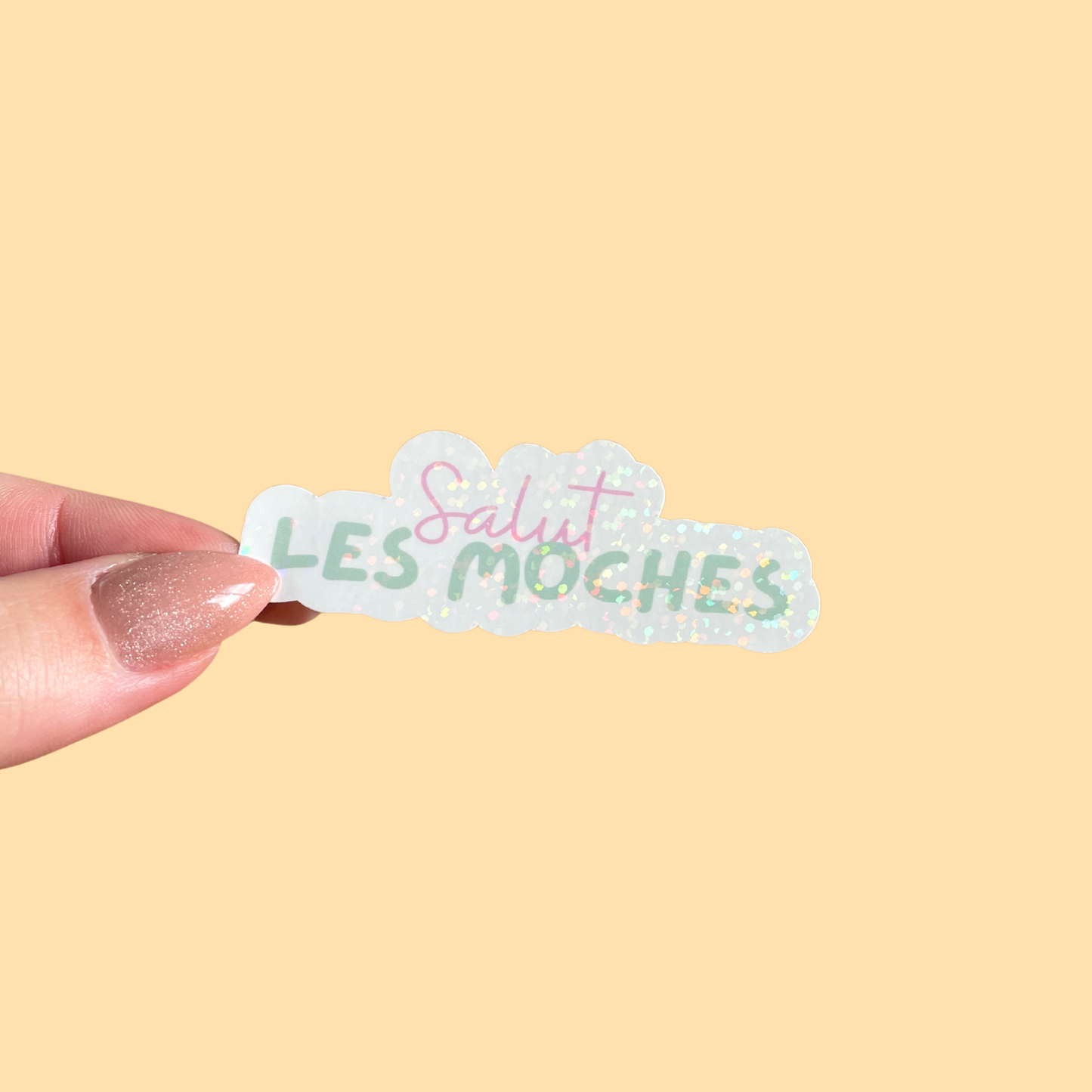 Sticker - Salut les moches