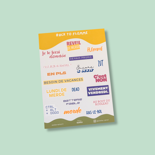 Planche de stickers - back to flemme - A6